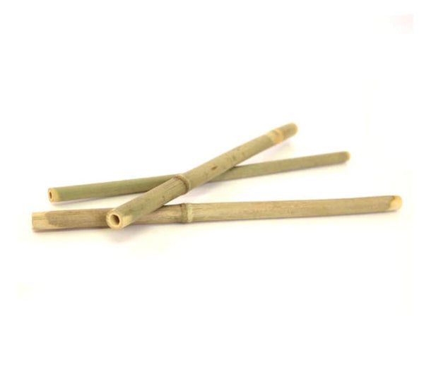 Real Bamboo Straws (10 Pack) - Raise The Bar Lux  